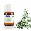 Aceite esencial Romero 100%