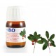 Aceite esencial Wintergreen 100%
