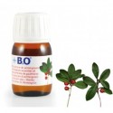 Aceite esencial Wintergreen 100%