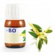 Aceite esencial Ylang-Ylang 100%